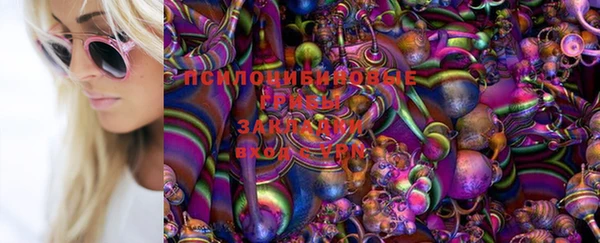 MDMA Волоколамск