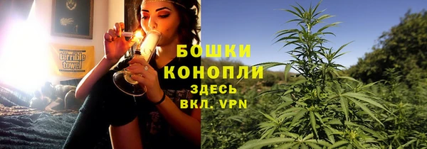 мдпв Володарск