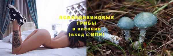 мдпв Володарск