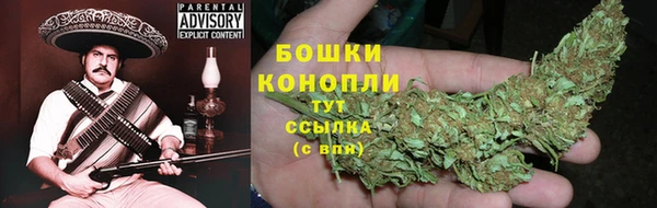 мдпв Володарск